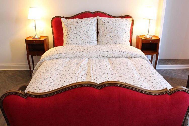Le Napoleon Hotel Luxeuil-les-Bains Luaran gambar